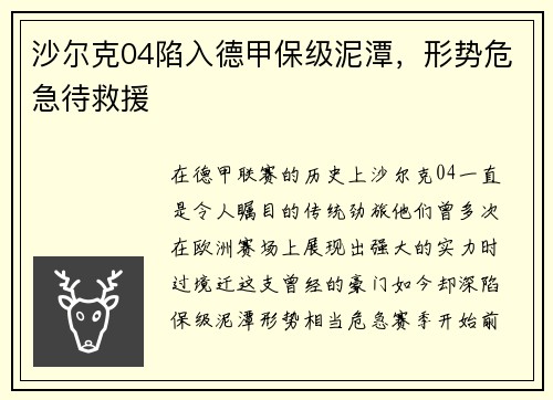 沙尔克04陷入德甲保级泥潭，形势危急待救援