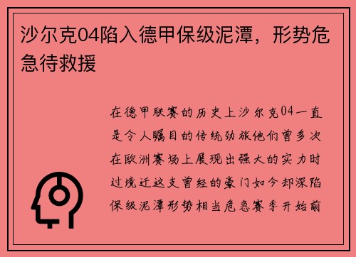 沙尔克04陷入德甲保级泥潭，形势危急待救援