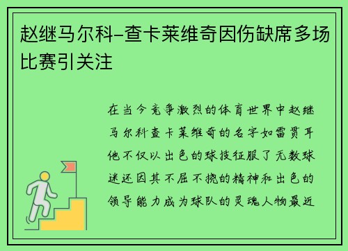 赵继马尔科-查卡莱维奇因伤缺席多场比赛引关注